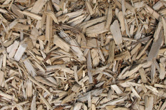 biomass boilers Calbost